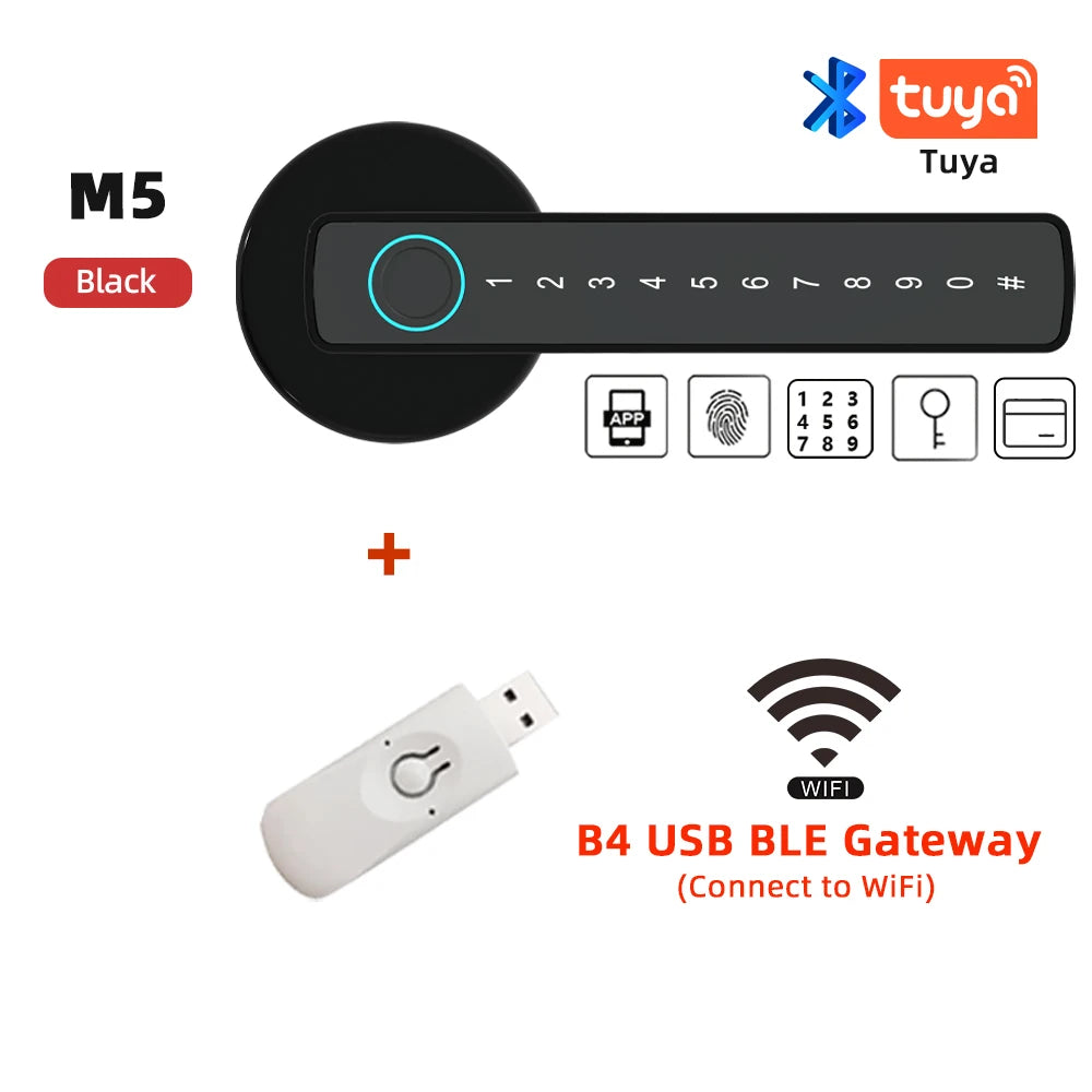 Raykube M5 Smart Lock