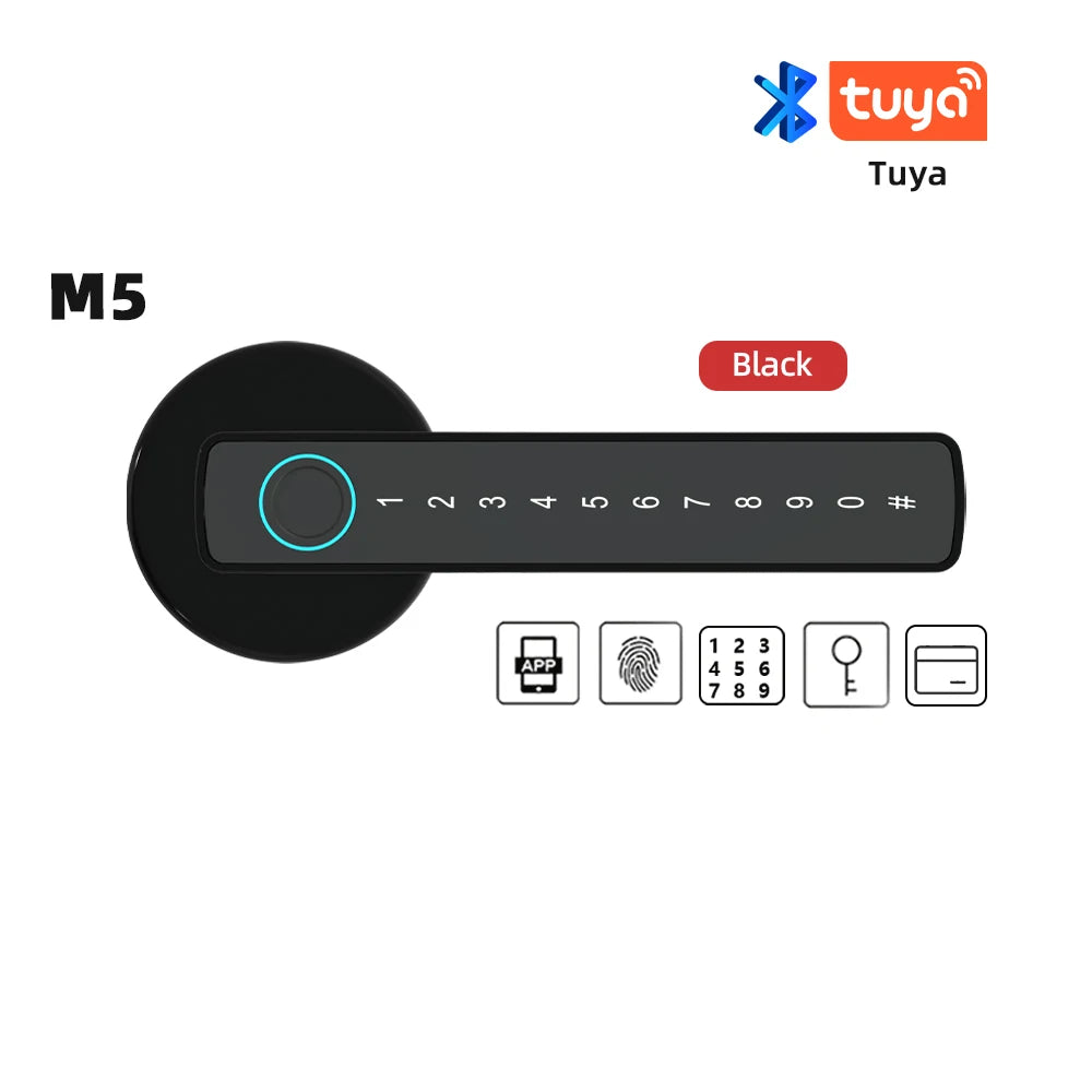 Raykube M5 Smart Lock