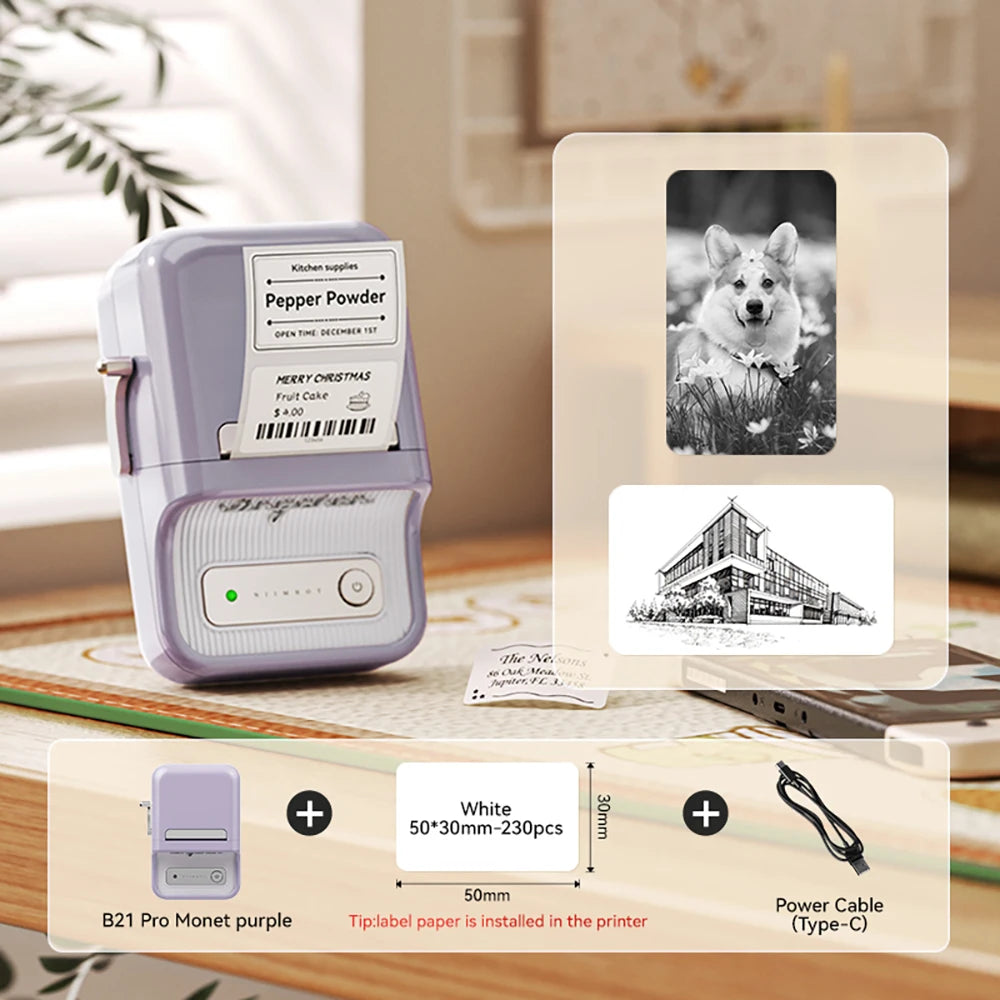 Niimbot B21 Pro portable label printer
