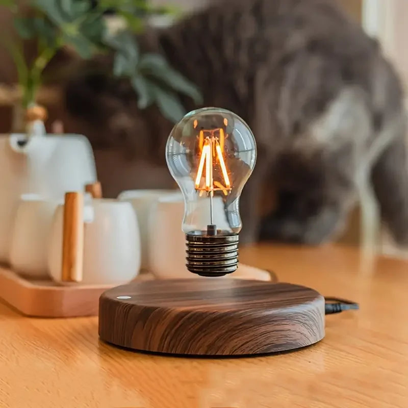 Magnetic Floating Lamp β Light That Defies Gravity