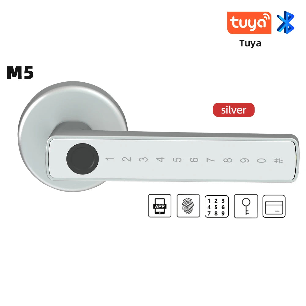 Raykube M5 Smart Lock