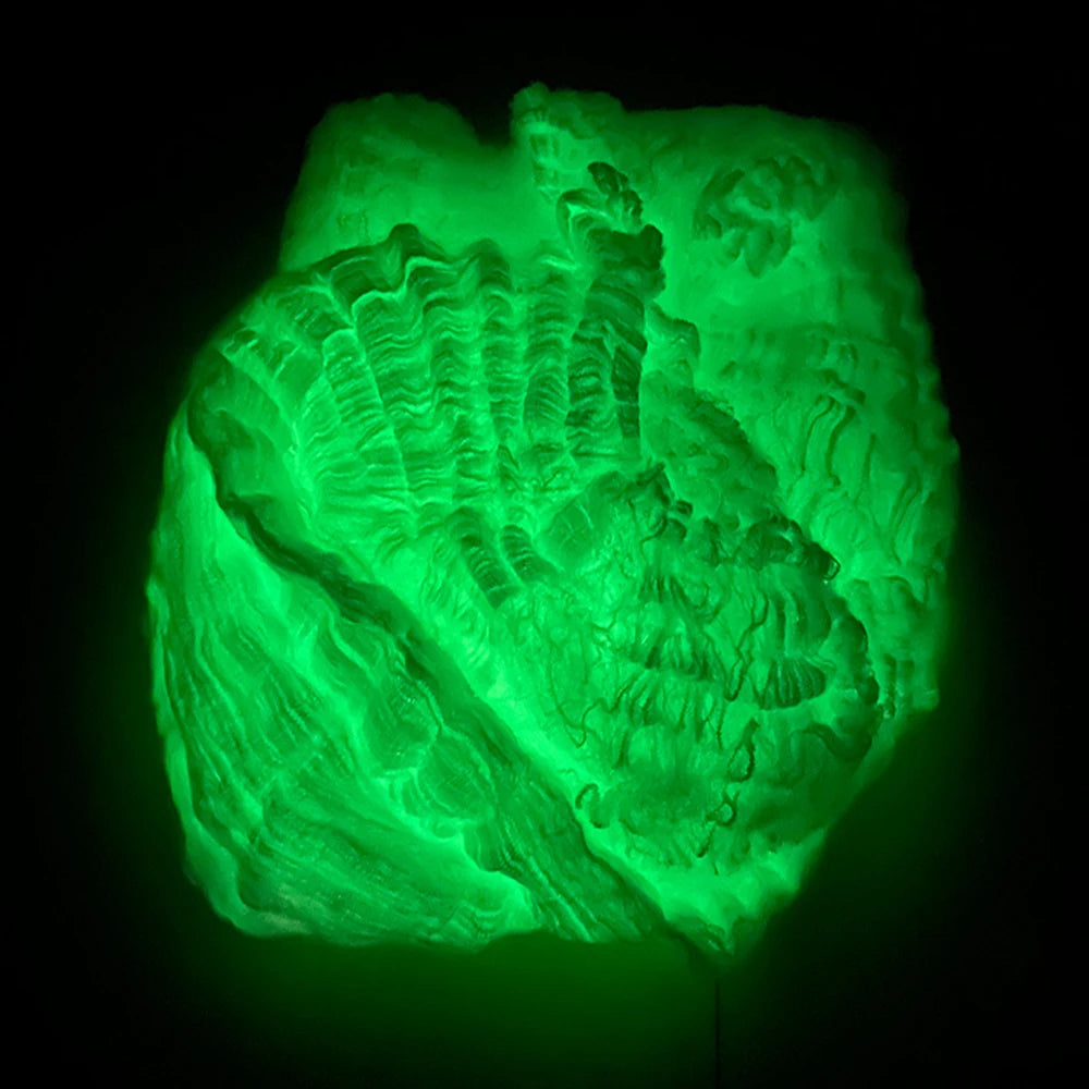 Halloween Fluorescent Spider Webs