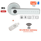 Raykube M5 Smart Lock